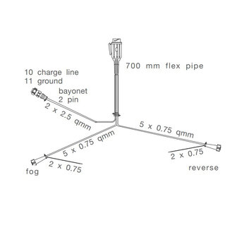 Asp&ouml;ck Kabelboom 13-polige Stekker 8m + 2x aftakking DC 10cm + laad 5m