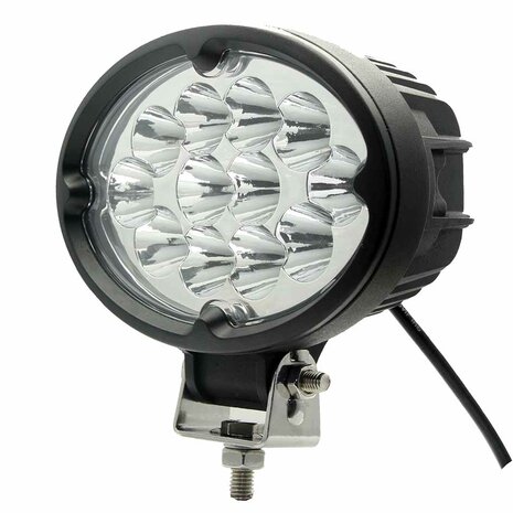 36W LED Ovale Werklamp Verstraler